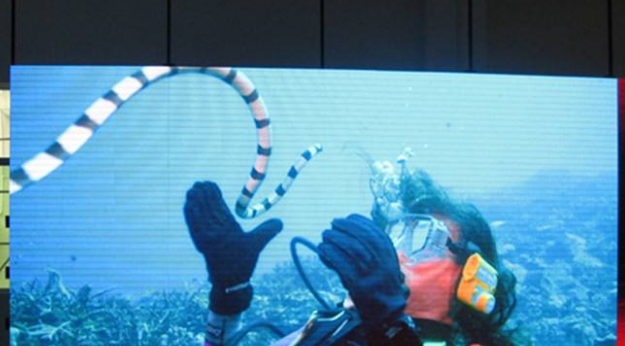 美股四次熔斷，會(huì)對(duì)室內(nèi)全彩led顯示屏行業(yè)造成怎樣的影響呢